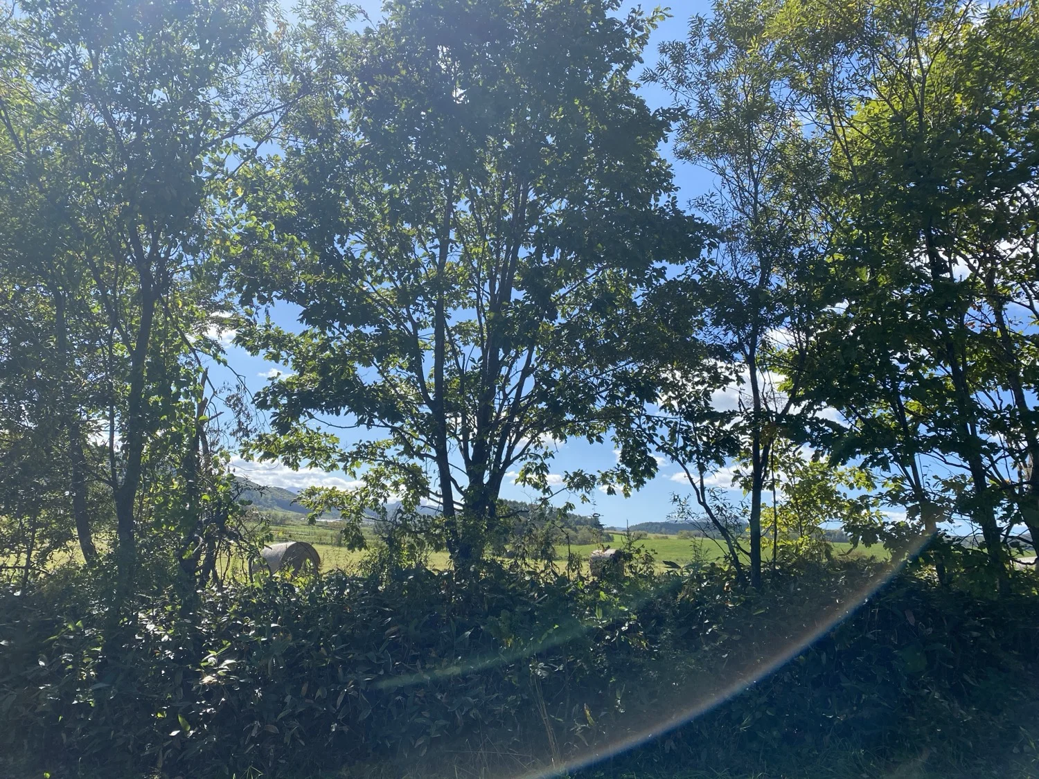 牧場全景・オホーツク海遠景