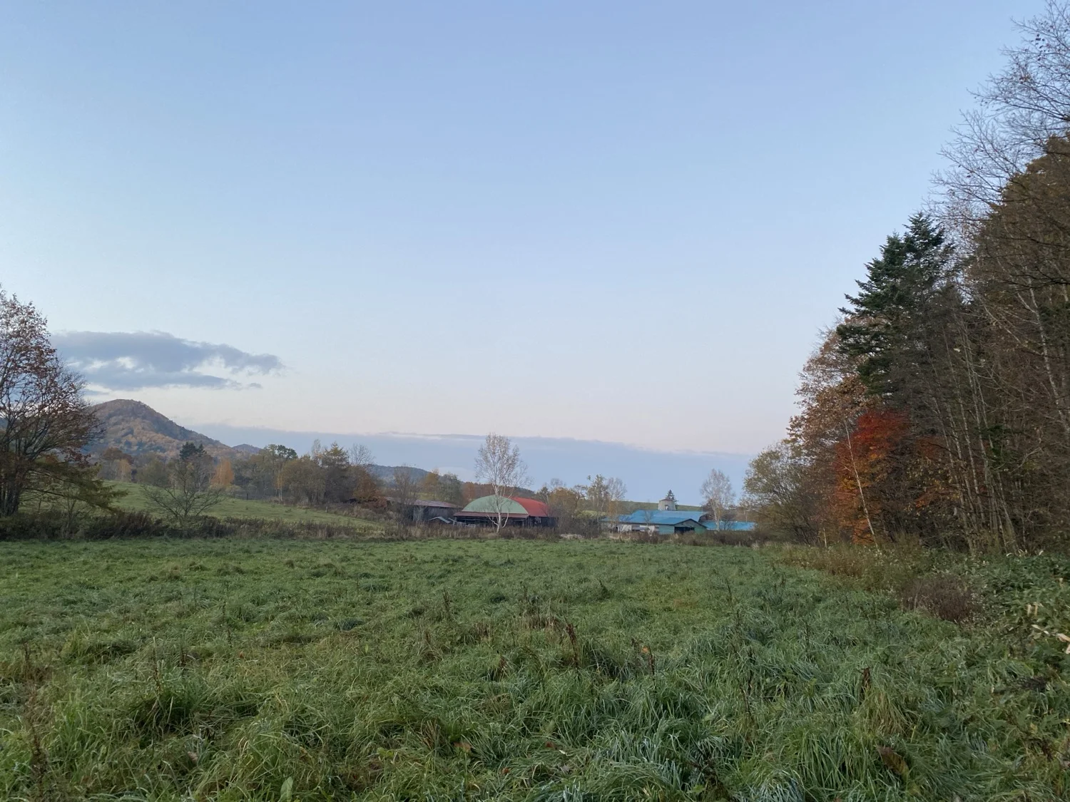 牧場全景・山が見える